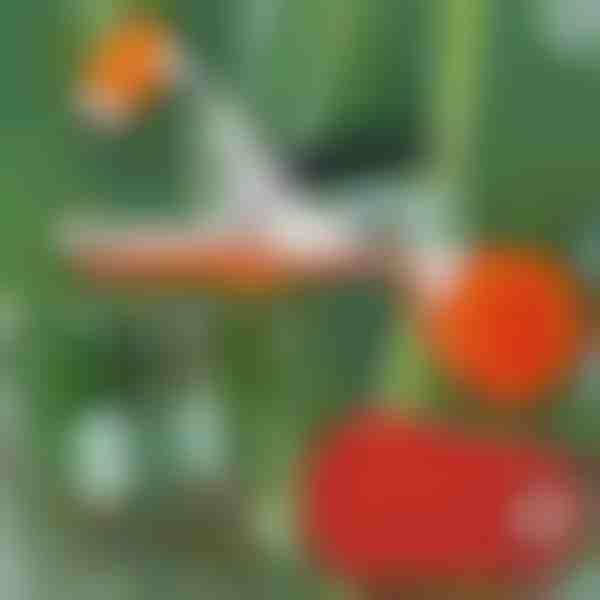 Instantni alat za vezanje biljaka | PLANTBRAND