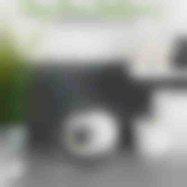 Pretvorite rezervnu rolu u ukras – 16 cm | ROLLSHEEP